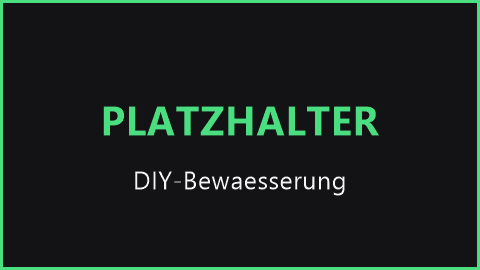 DIY Bewässerungssystem aus Plastikflaschen